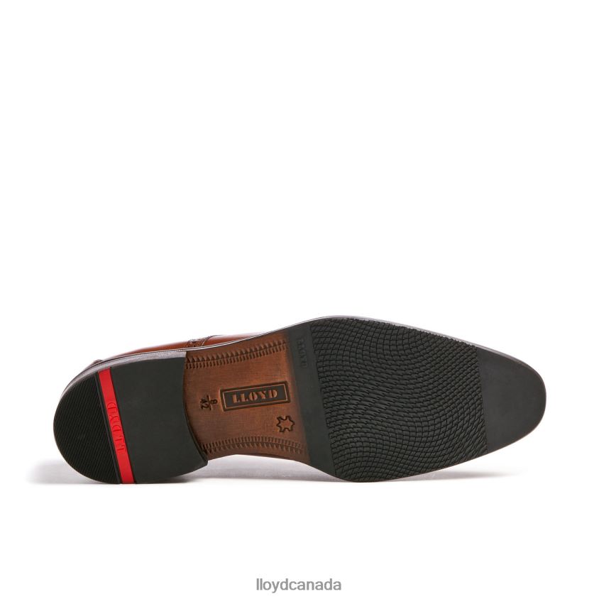 LUCIEN LLOYD Men brown R084ZF574 Shoes