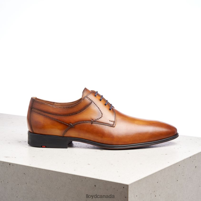 MADISON LLOYD Men brown R084ZF192 Shoes