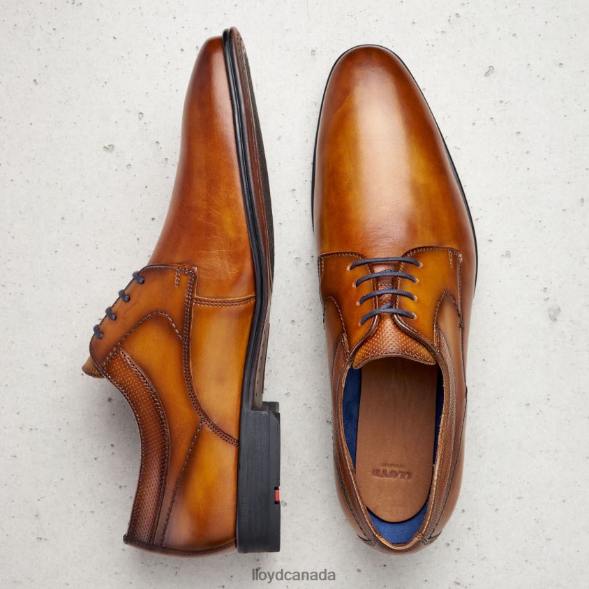 MADISON LLOYD Men brown R084ZF192 Shoes