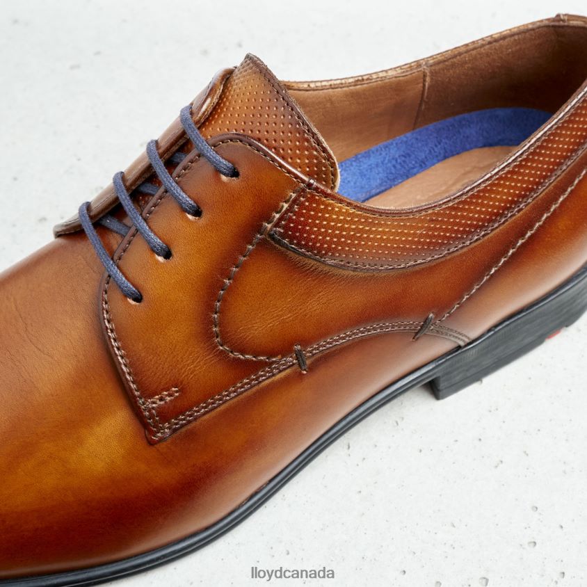 MADISON LLOYD Men brown R084ZF192 Shoes