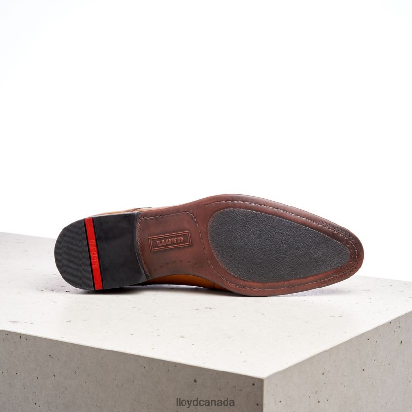 MADISON LLOYD Men brown R084ZF192 Shoes