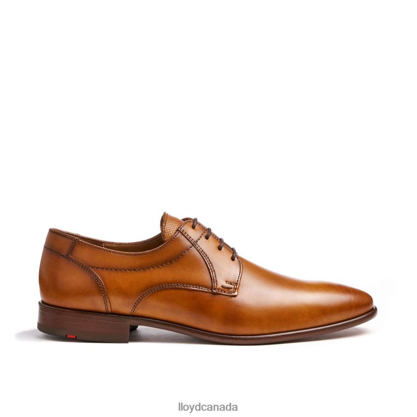 MANON LLOYD Men brown R084ZF118 Shoes