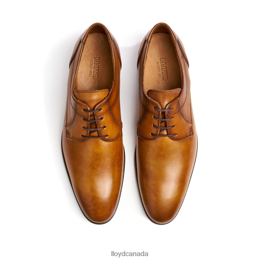 MANON LLOYD Men brown R084ZF118 Shoes