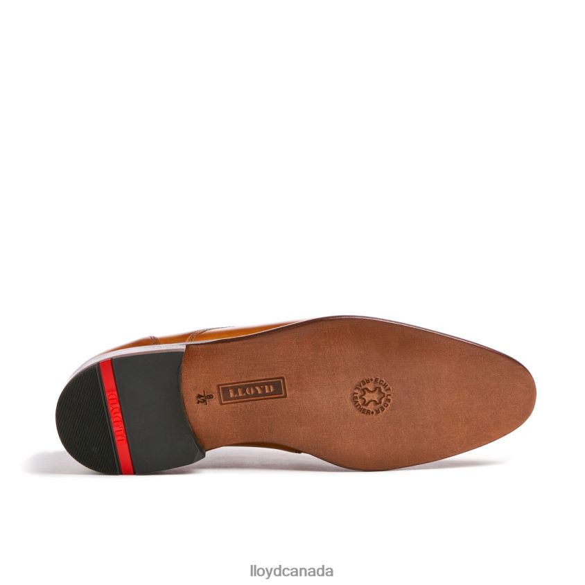MANON LLOYD Men brown R084ZF118 Shoes