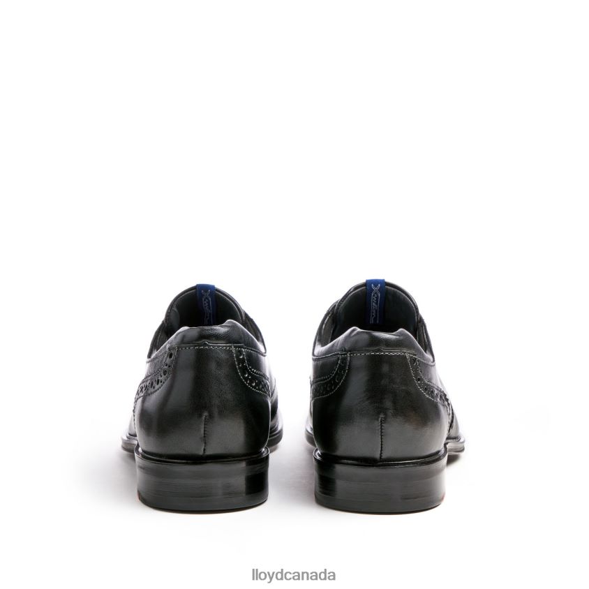 MARIAN LLOYD Men black R084ZF8 Shoes