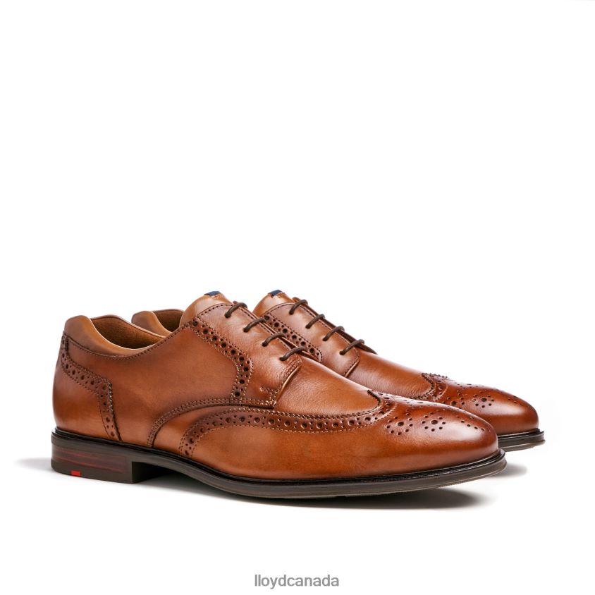 MARIAN LLOYD Men brown R084ZF141 Shoes