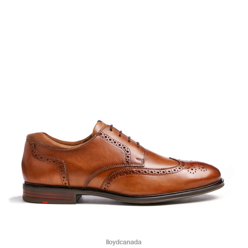 MARIAN LLOYD Men brown R084ZF141 Shoes