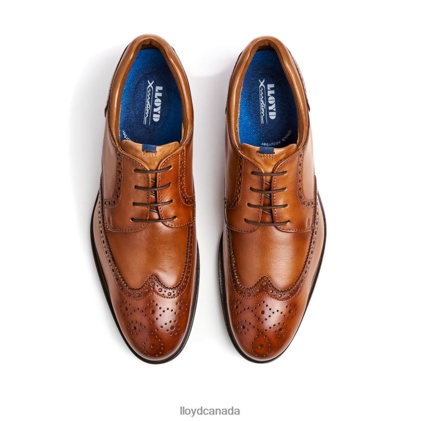MARIAN LLOYD Men brown R084ZF141 Shoes