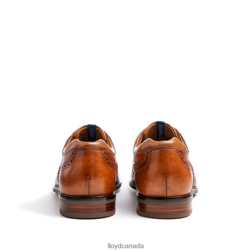 MARIAN LLOYD Men brown R084ZF141 Shoes