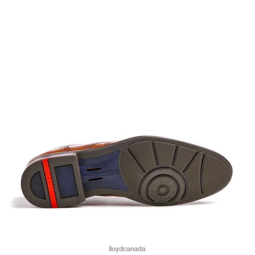 MARIAN LLOYD Men brown R084ZF141 Shoes