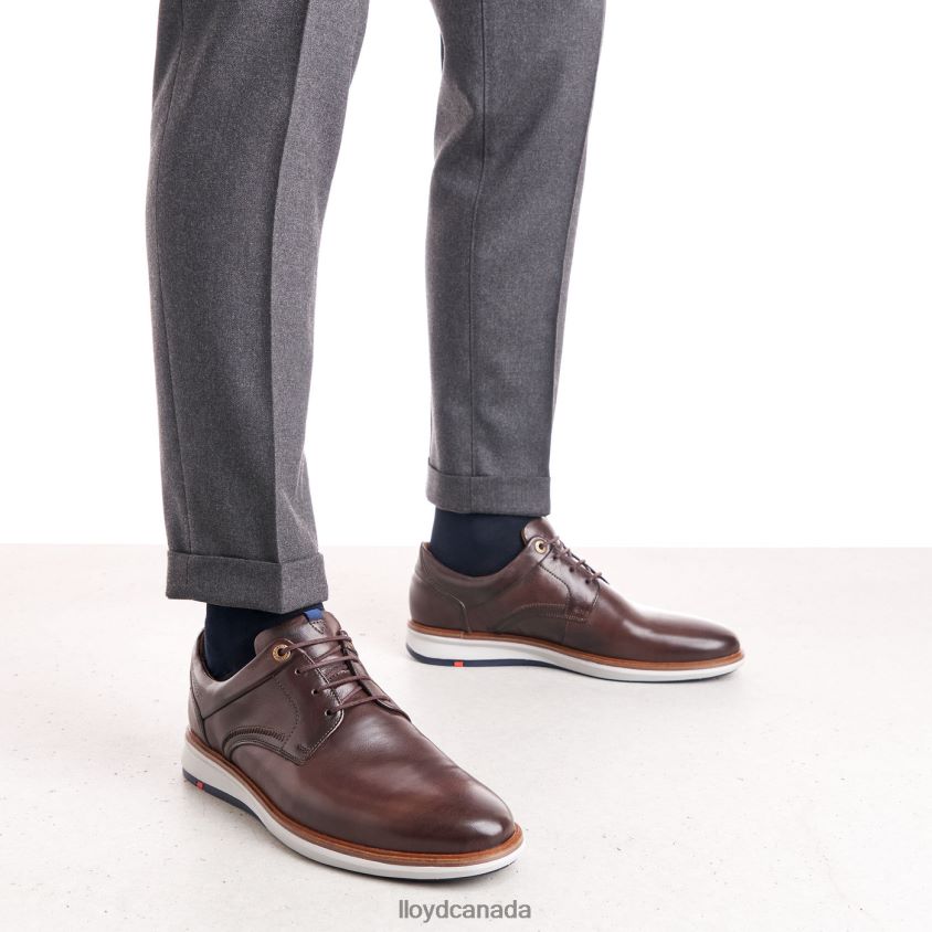 MATHEW LLOYD Men brown R084ZF242 Shoes