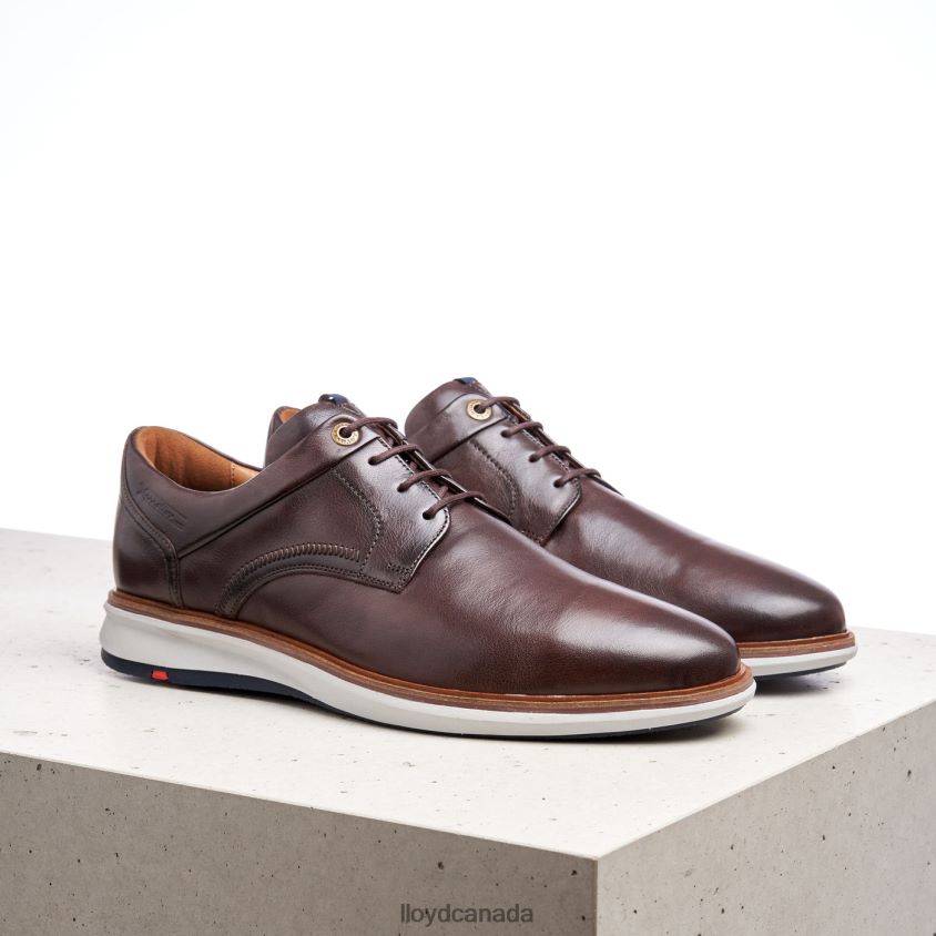 MATHEW LLOYD Men brown R084ZF242 Shoes