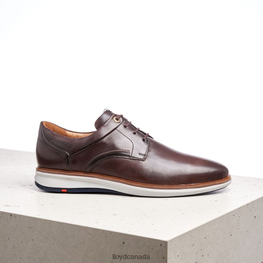 MATHEW LLOYD Men brown R084ZF242 Shoes
