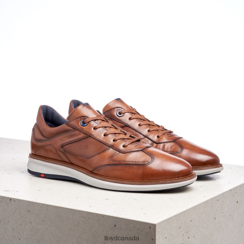 MATS LLOYD Men brown R084ZF261 Shoes