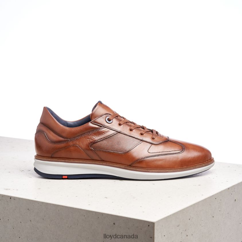 MATS LLOYD Men brown R084ZF261 Shoes