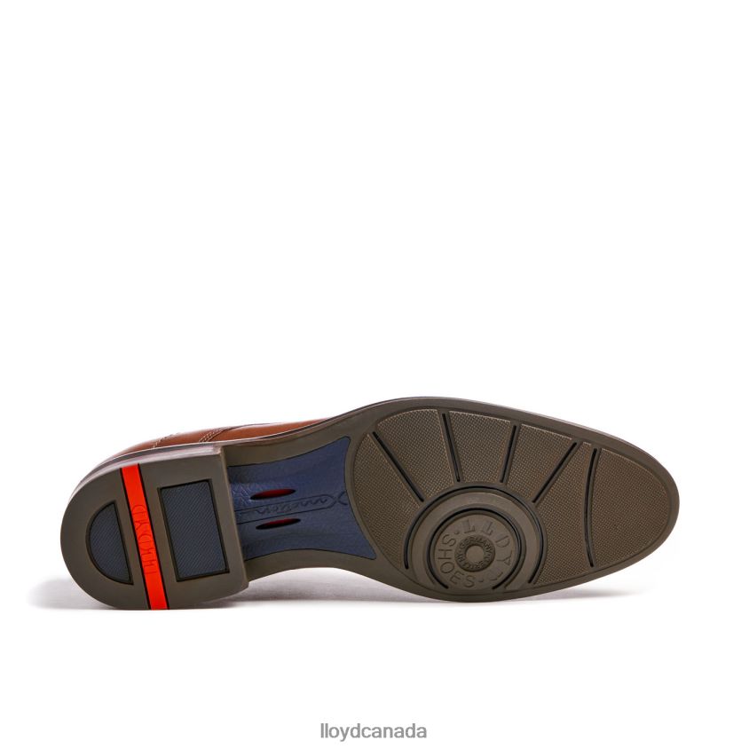 MILAN LLOYD Men brown R084ZF5 Shoes