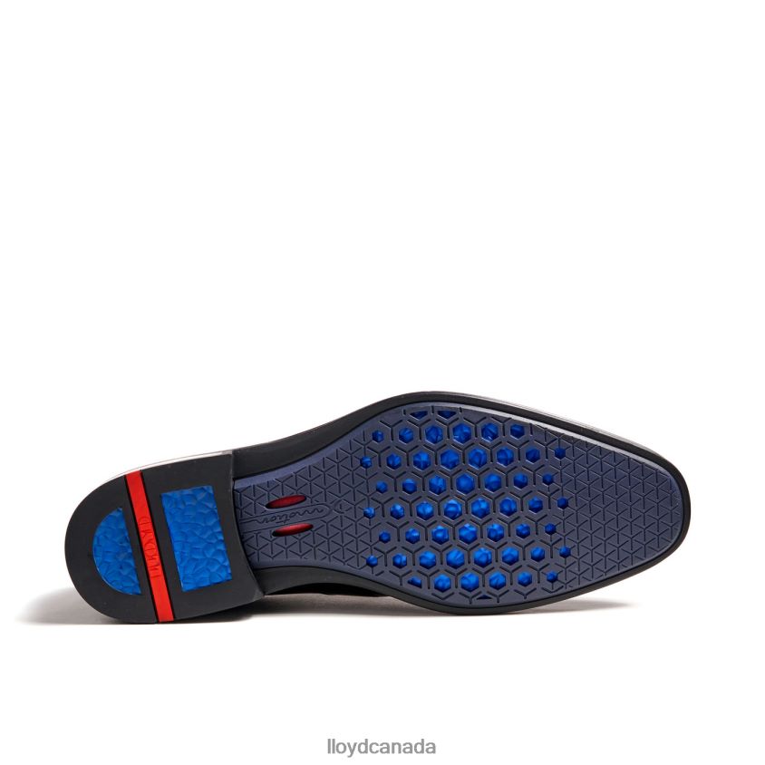 MONTY LLOYD Men black R084ZF81 Shoes