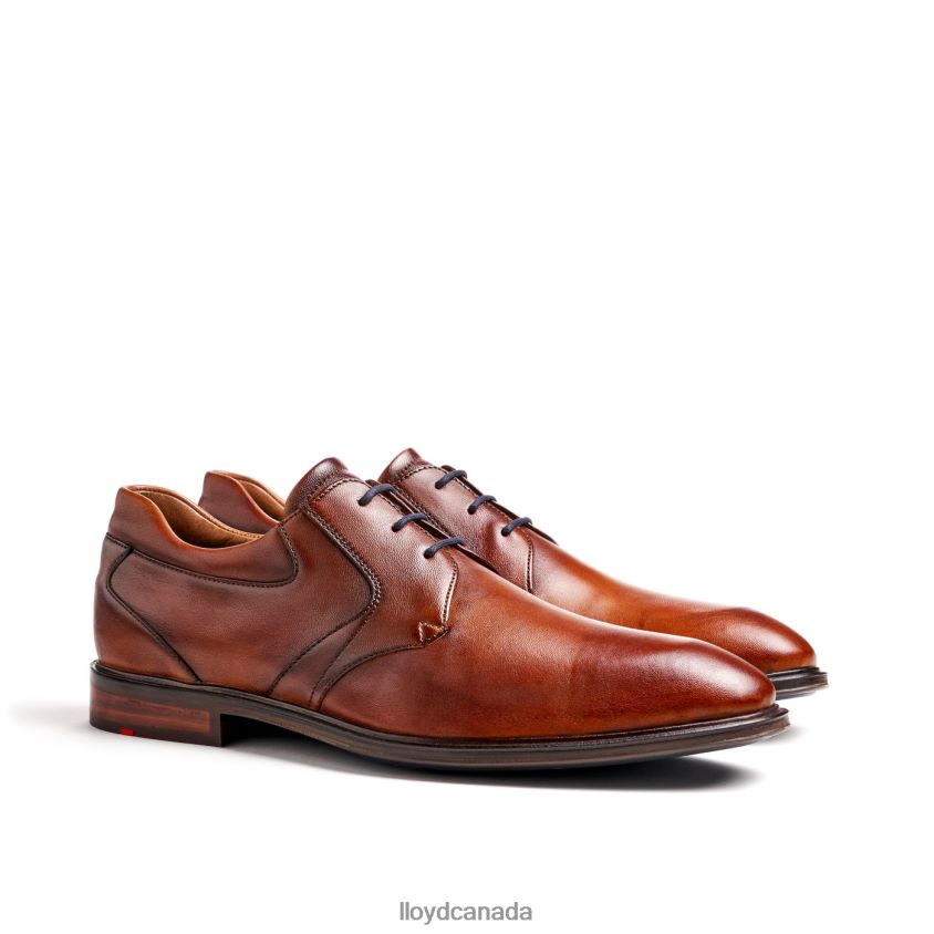 MONTY LLOYD Men brown R084ZF134 Shoes