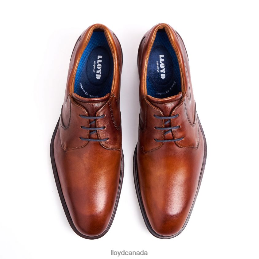 MONTY LLOYD Men brown R084ZF134 Shoes