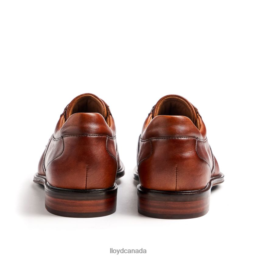 MONTY LLOYD Men brown R084ZF134 Shoes