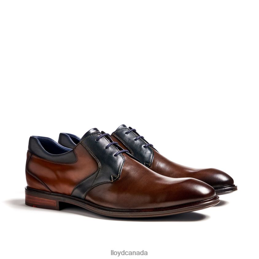 MONTY LLOYD Men brown R084ZF227 Shoes