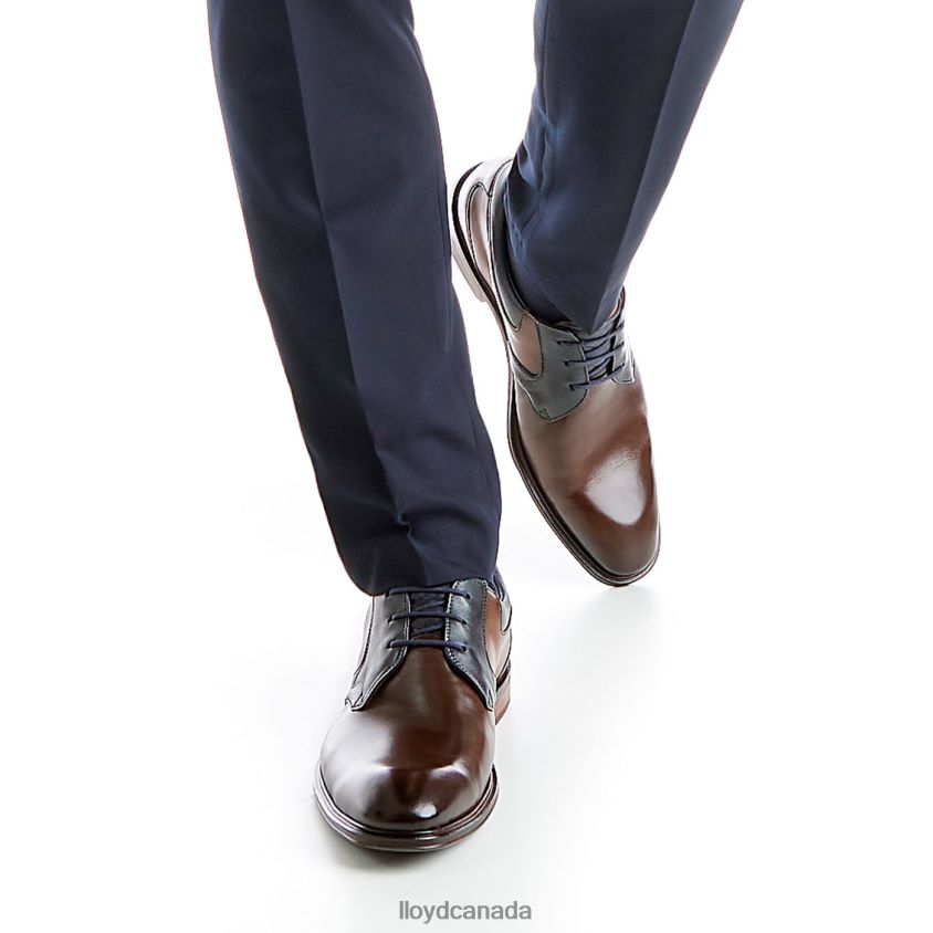 MONTY LLOYD Men brown R084ZF227 Shoes