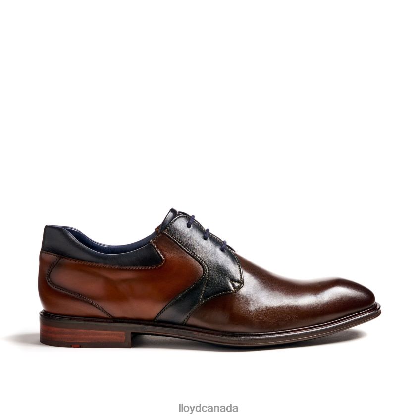 MONTY LLOYD Men brown R084ZF227 Shoes