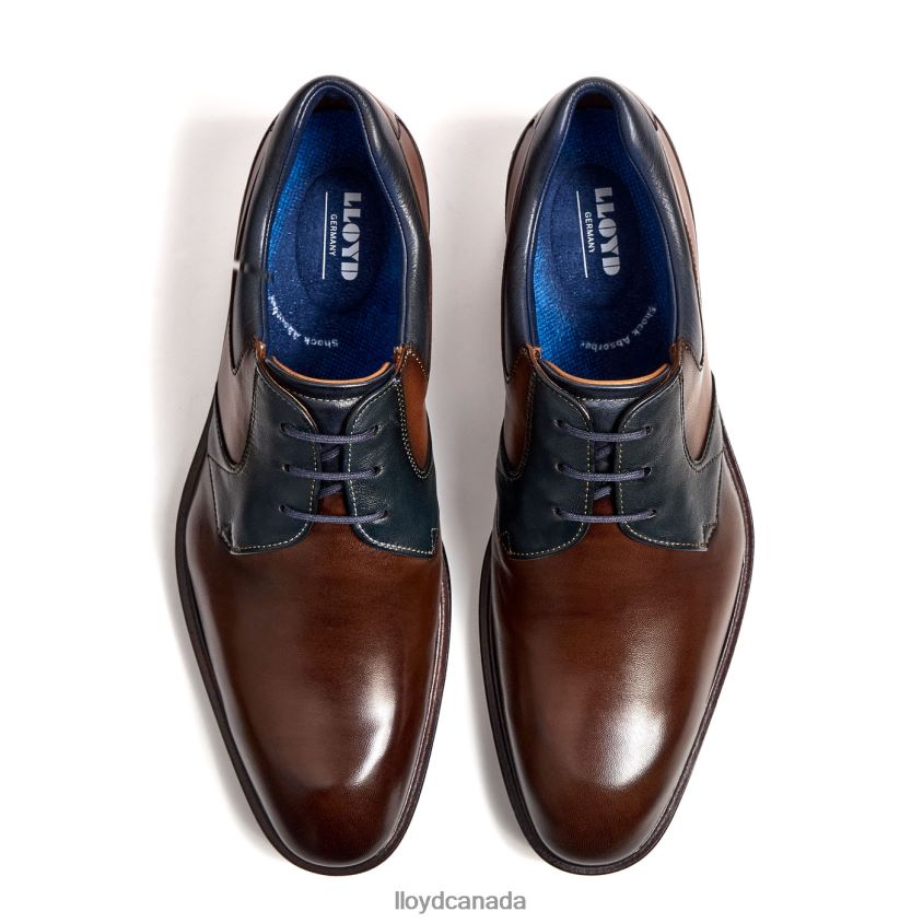 MONTY LLOYD Men brown R084ZF227 Shoes