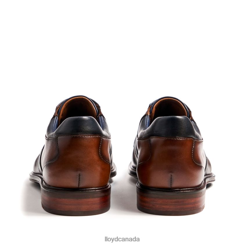 MONTY LLOYD Men brown R084ZF227 Shoes
