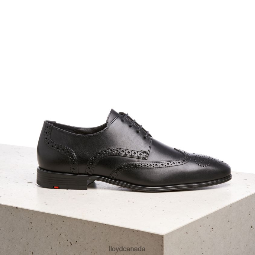 MORTON LLOYD Men black R084ZF186 Shoes