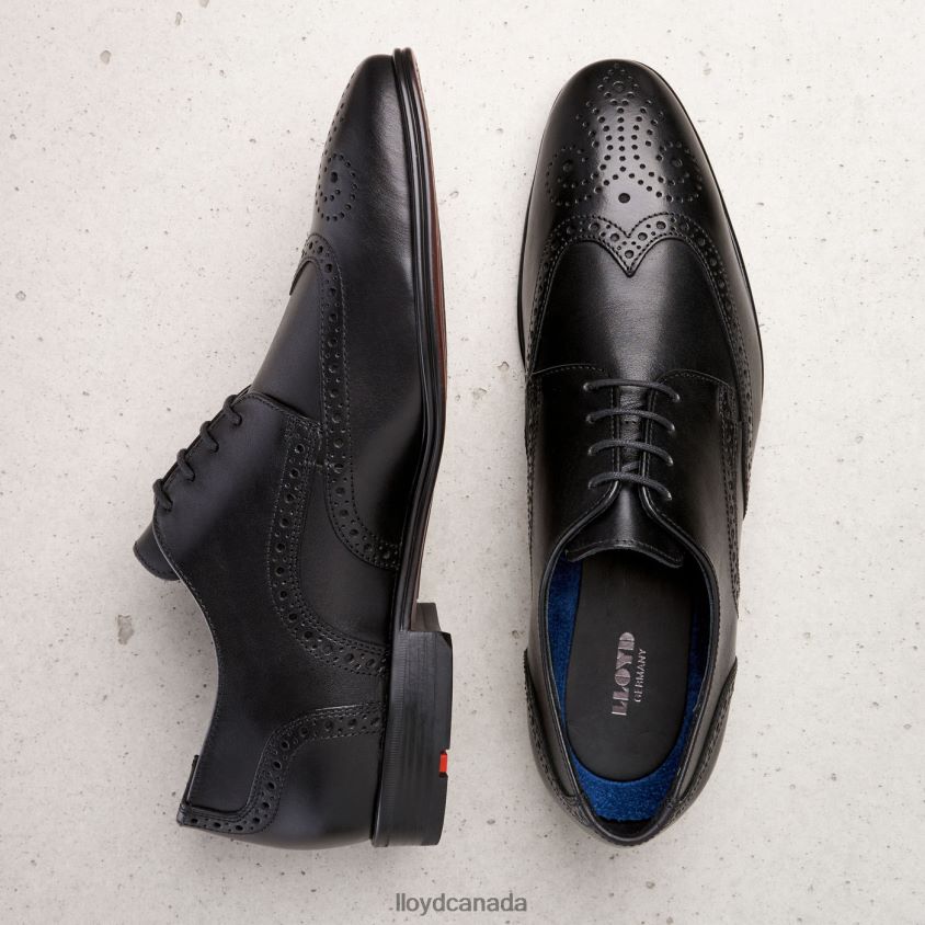 MORTON LLOYD Men black R084ZF186 Shoes