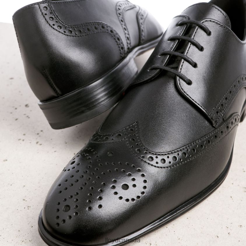 MORTON LLOYD Men black R084ZF186 Shoes