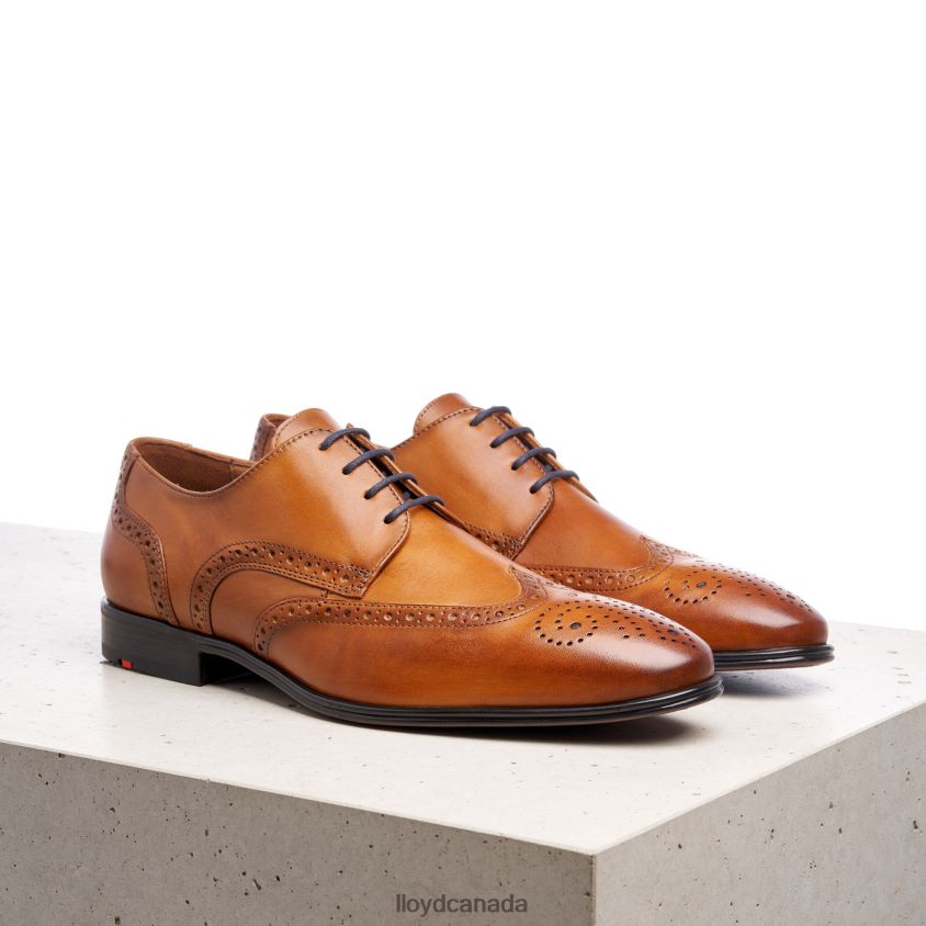 MORTON LLOYD Men brown R084ZF1321 Shoes