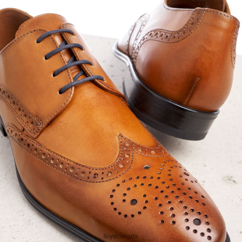MORTON LLOYD Men brown R084ZF1321 Shoes
