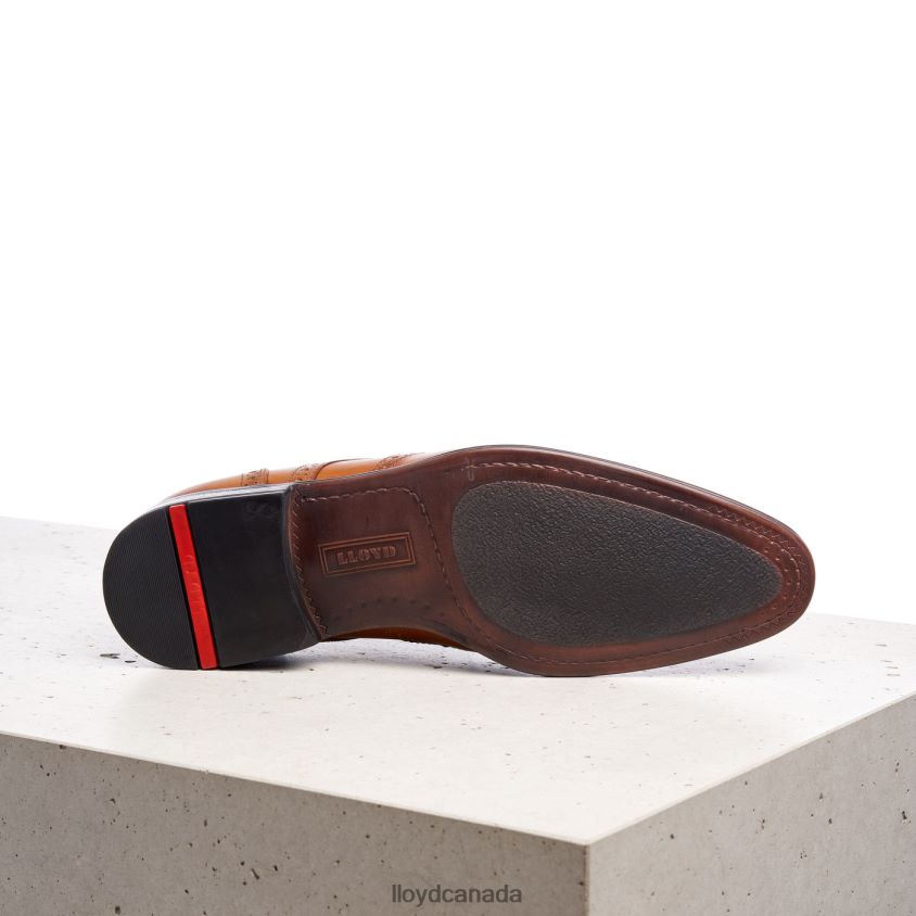 MORTON LLOYD Men brown R084ZF1321 Shoes