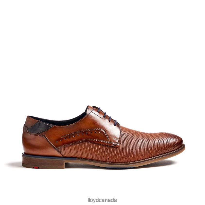 NAMIR LLOYD Men brown R084ZF217 Shoes