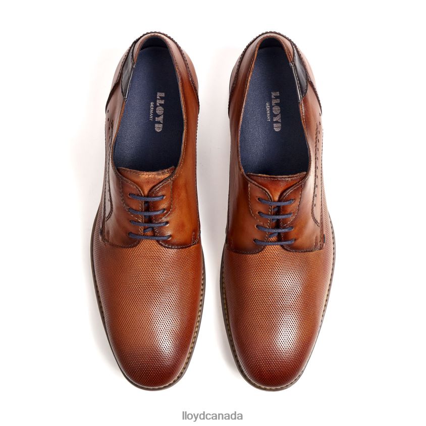 NAMIR LLOYD Men brown R084ZF217 Shoes