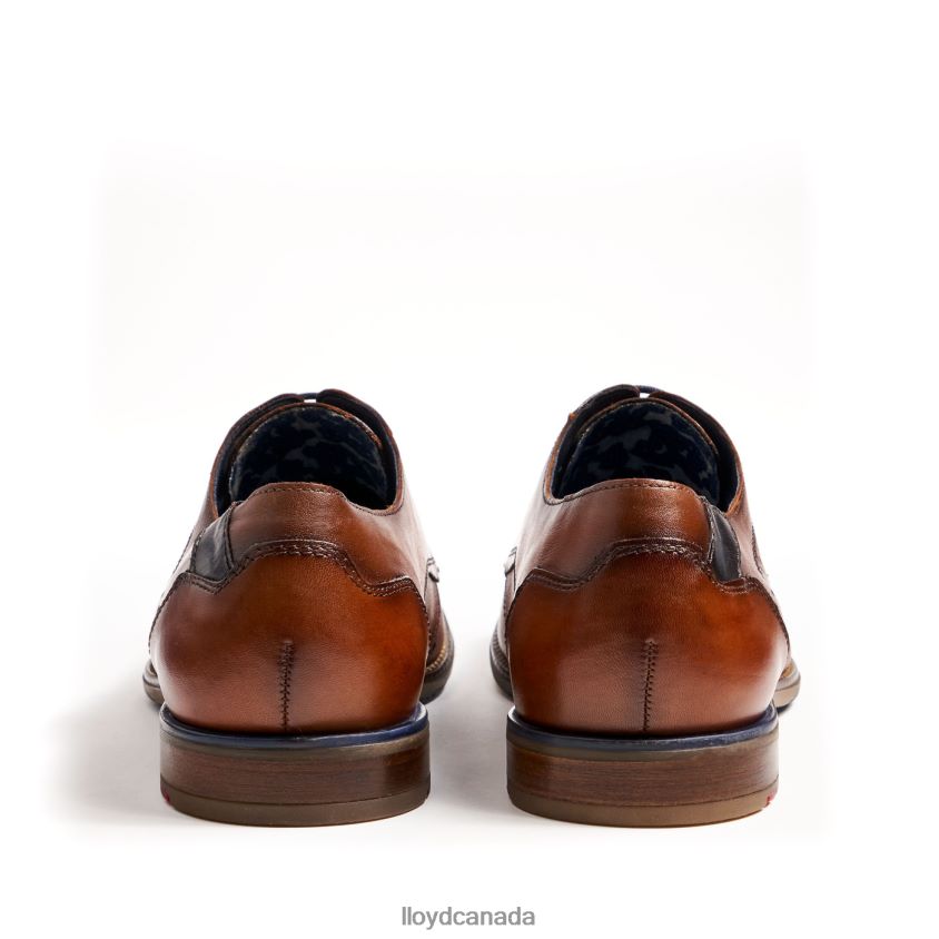 NAMIR LLOYD Men brown R084ZF217 Shoes