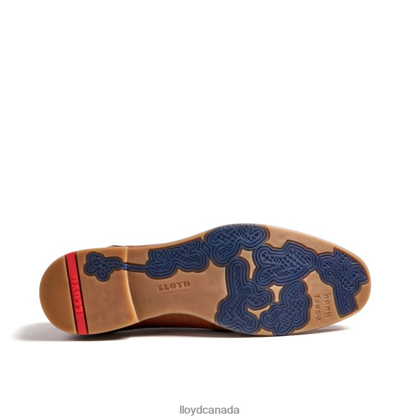 NAMIR LLOYD Men brown R084ZF217 Shoes