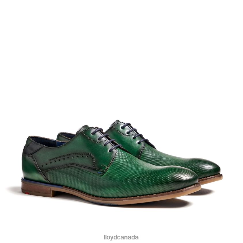NAMIR LLOYD Men green R084ZF237 Shoes