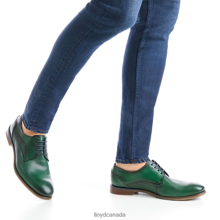 NAMIR LLOYD Men green R084ZF237 Shoes