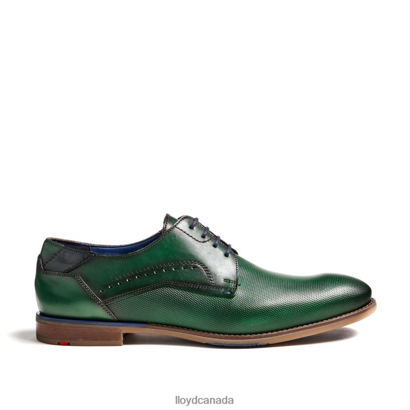 NAMIR LLOYD Men green R084ZF237 Shoes