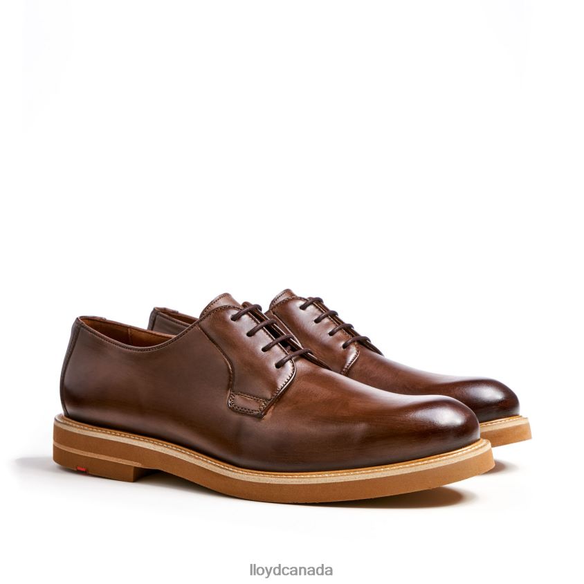 OKAL LLOYD Men brown R084ZF77 Shoes
