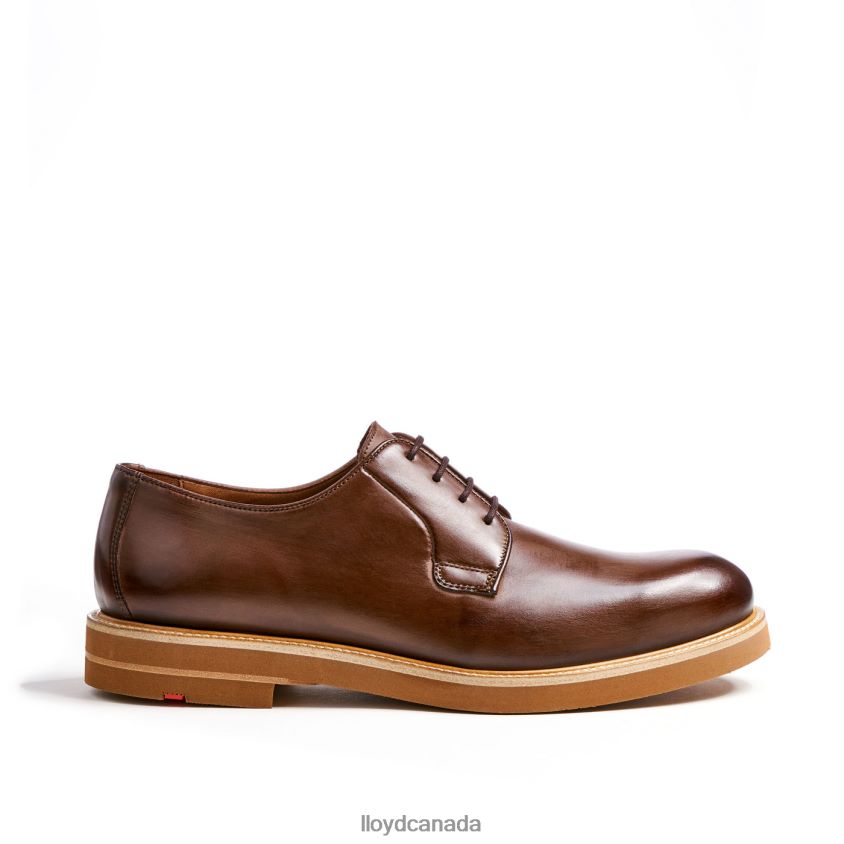OKAL LLOYD Men brown R084ZF77 Shoes