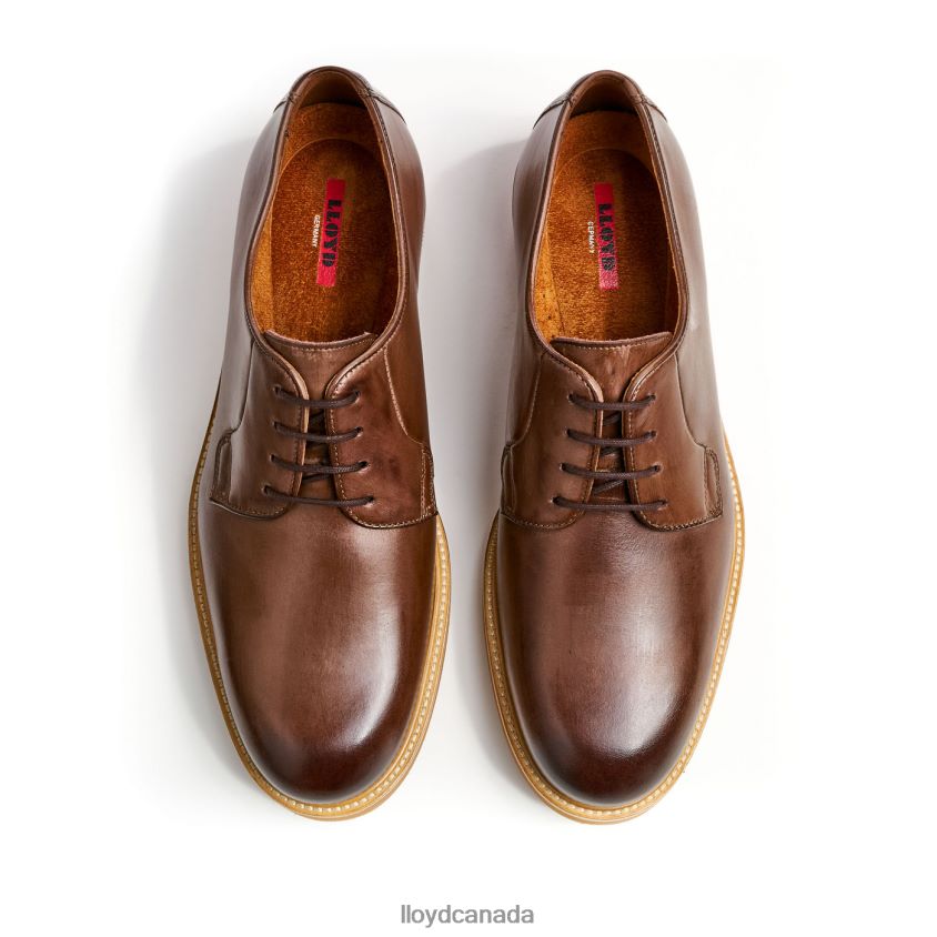 OKAL LLOYD Men brown R084ZF77 Shoes