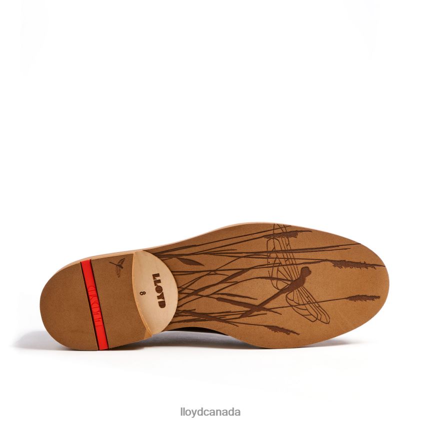 OKAL LLOYD Men brown R084ZF77 Shoes