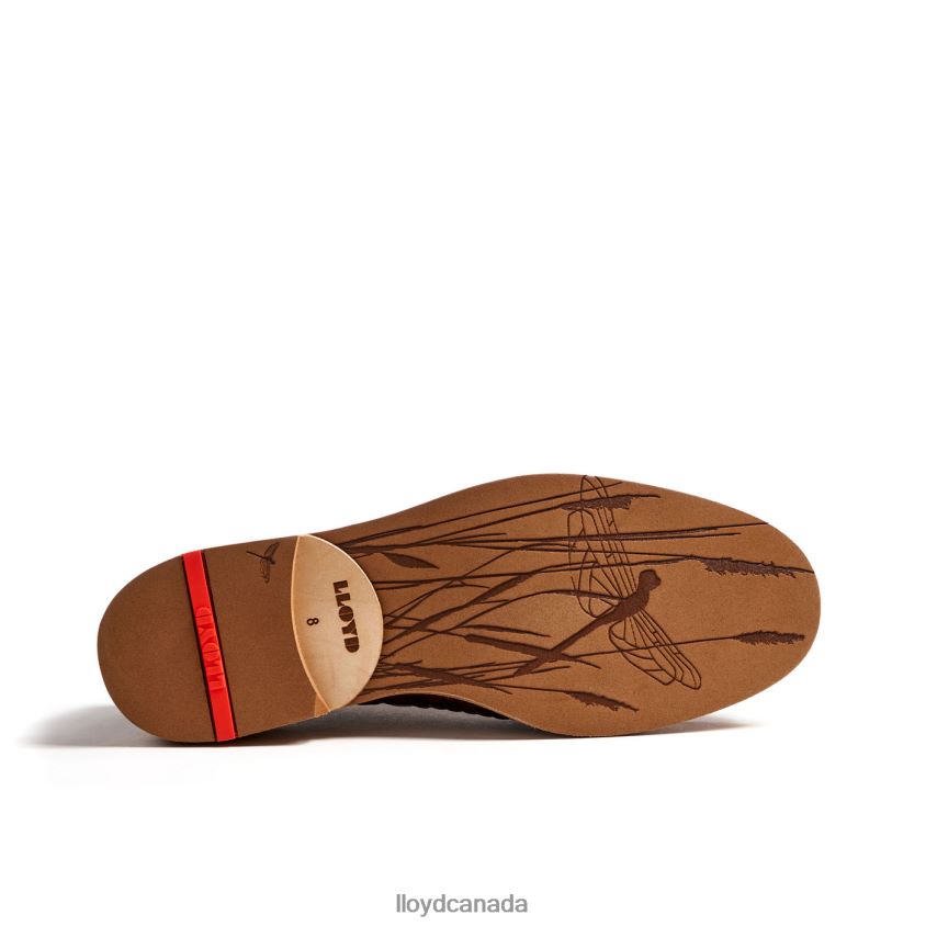OLOS LLOYD Men brown R084ZF173 Shoes