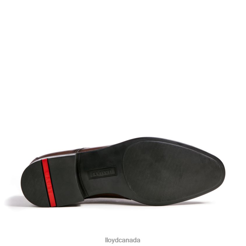 ORLANDO LLOYD Men brown R084ZF592 Shoes