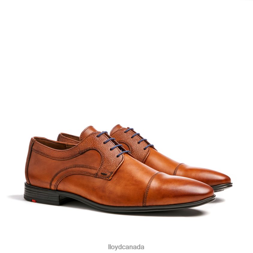 ORWIN LLOYD Men brown R084ZF95 Shoes