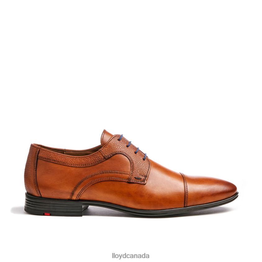 ORWIN LLOYD Men brown R084ZF95 Shoes